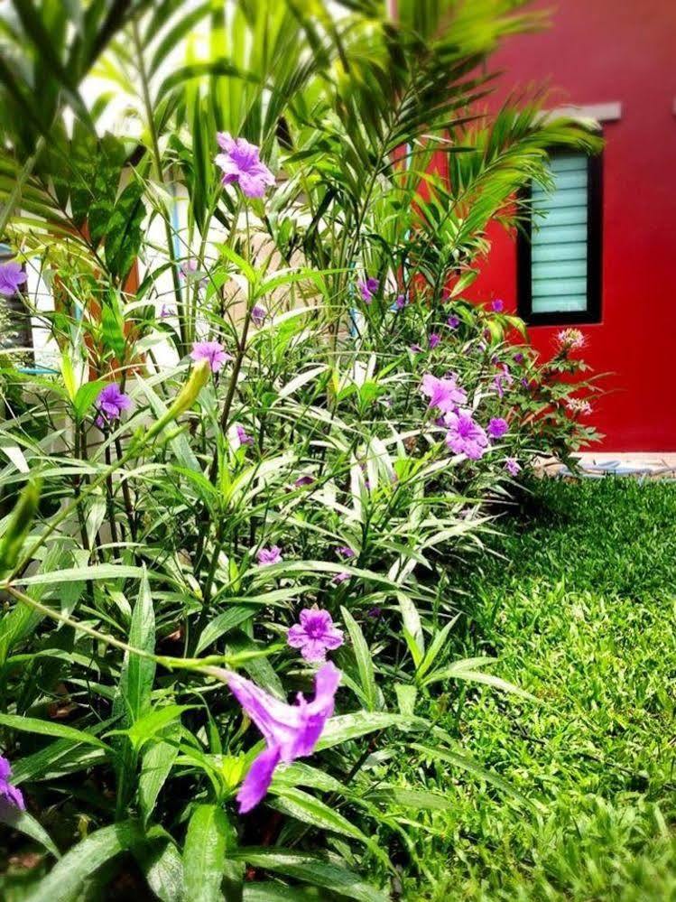 Hotel Mulberry House Pak Thong Chai Exterior foto